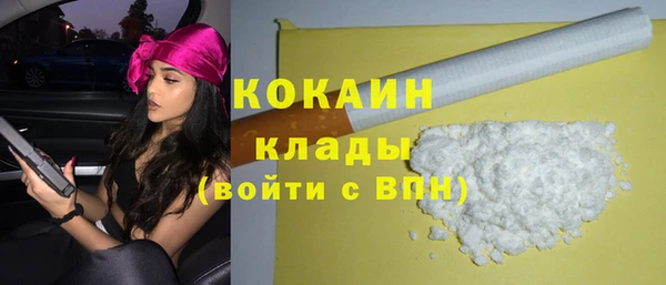 дмт Горняк