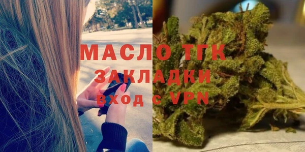 молекула духа Горнозаводск