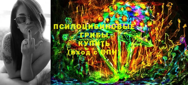дмт Горняк