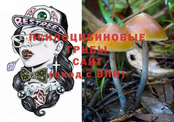 молекула духа Горнозаводск