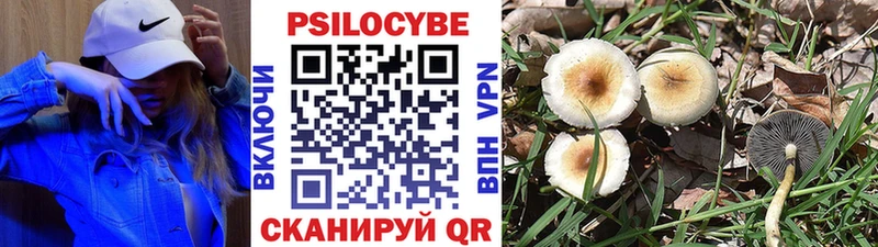 Галлюциногенные грибы MAGIC MUSHROOMS  Котельнич 
